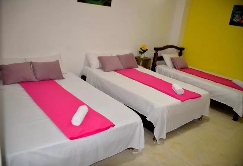 ホテル Casa Alejandria