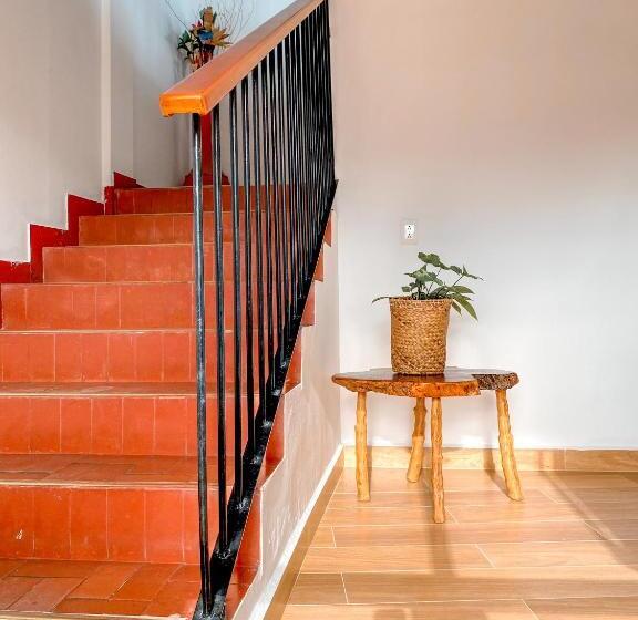 La Rosa Nautica Hostel