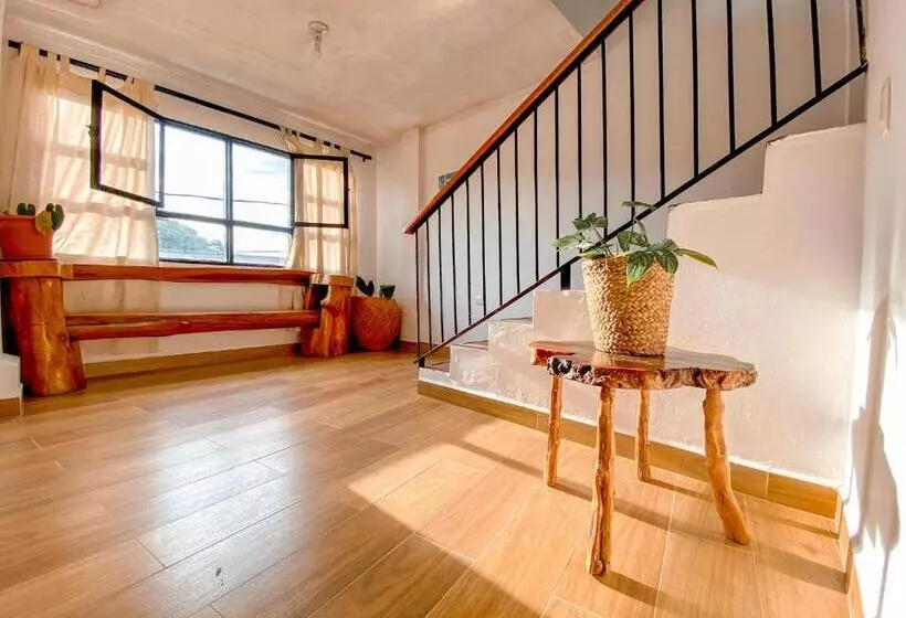 La Rosa Nautica Hostel