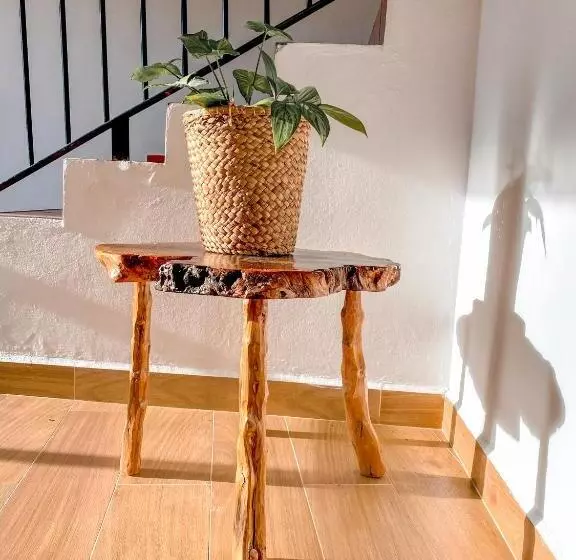 La Rosa Nautica Hostel