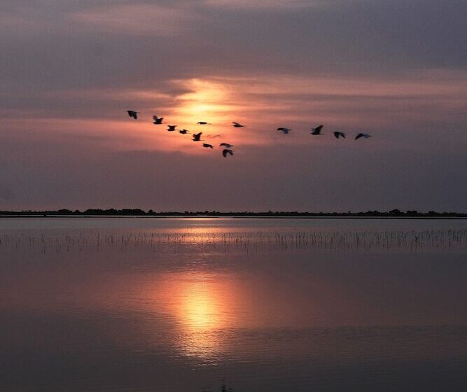 پانسیون Souimanga Lodge