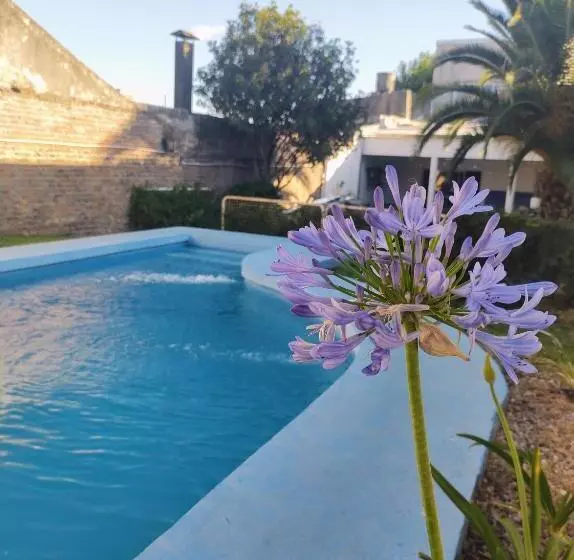 El Bicho Negro Hostel