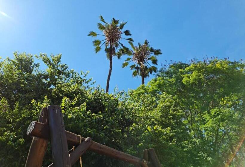 Peaches & Cream Bed & Breakfast