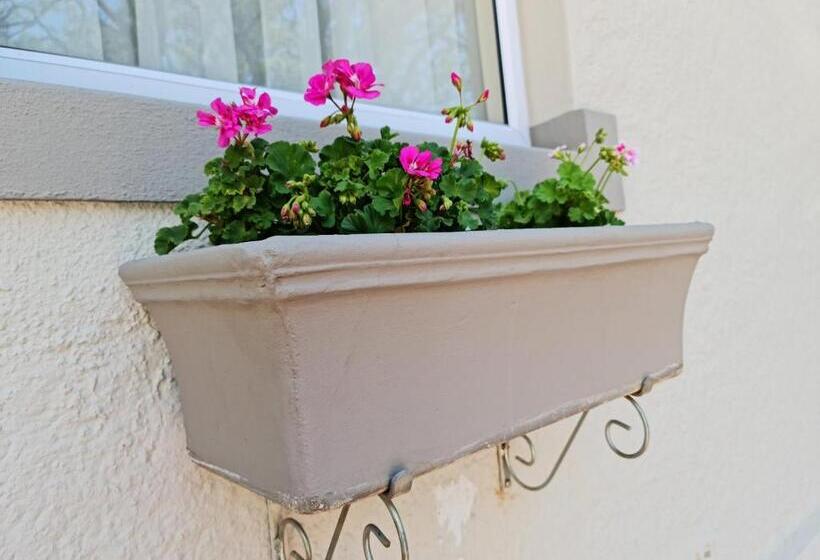 Peaches & Cream Bed & Breakfast