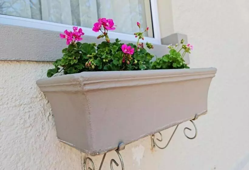 Peaches & Cream Bed & Breakfast