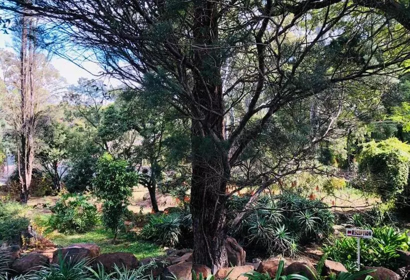 Peaches & Cream Bed & Breakfast