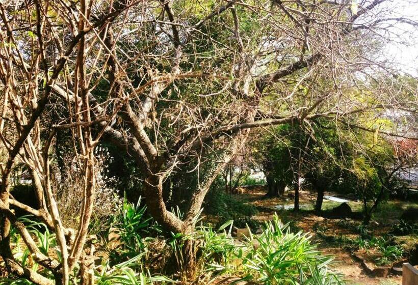 Peaches & Cream Bed & Breakfast