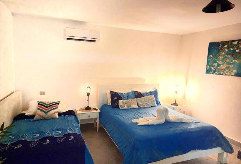 Ducassi Sol Caribe Playa Los Corales