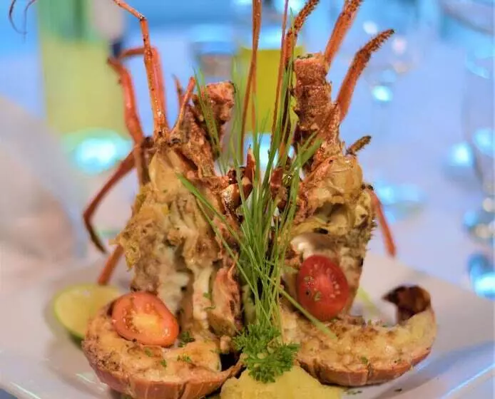 Alkquimia Hotel Lounge And Bar