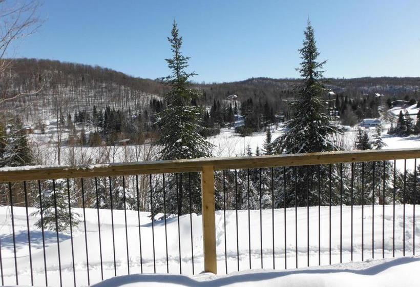 Gîte Vita Bella B&b