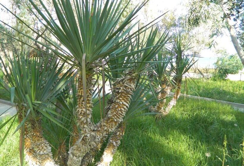 Hotel Mavi Dalga Beach