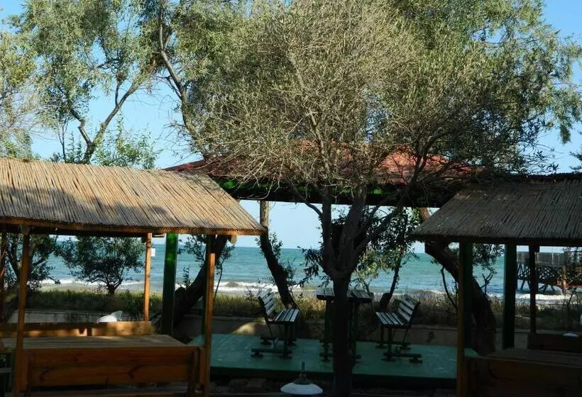 Hotel Mavi Dalga Beach