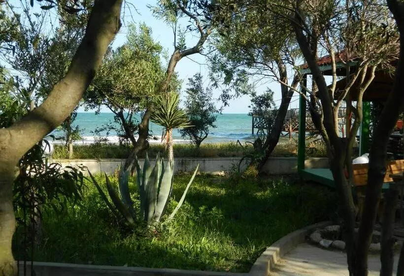 Hotel Mavi Dalga Beach