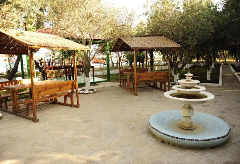 Hotel Mavi Dalga Beach