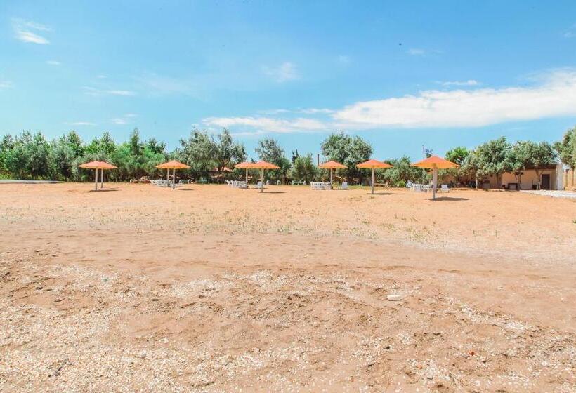 Hotel Mavi Dalga Beach