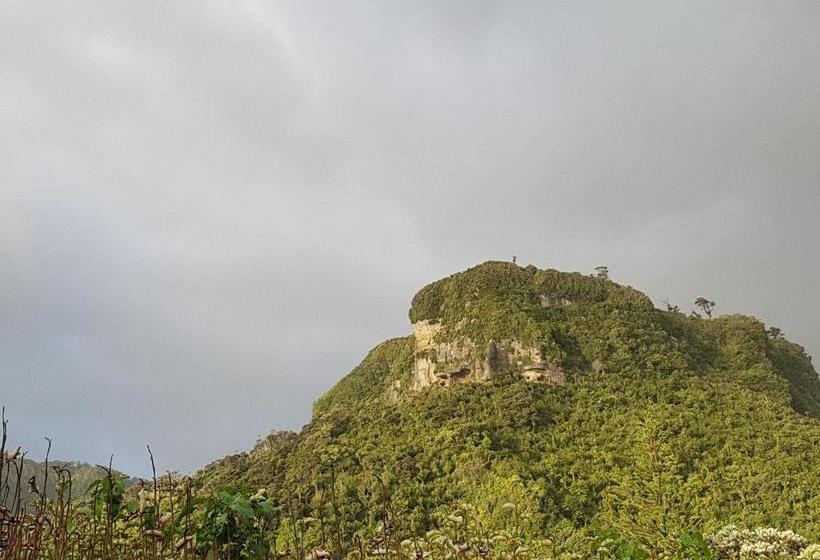 Punakaiki Rocks Hotel & Garden Bar