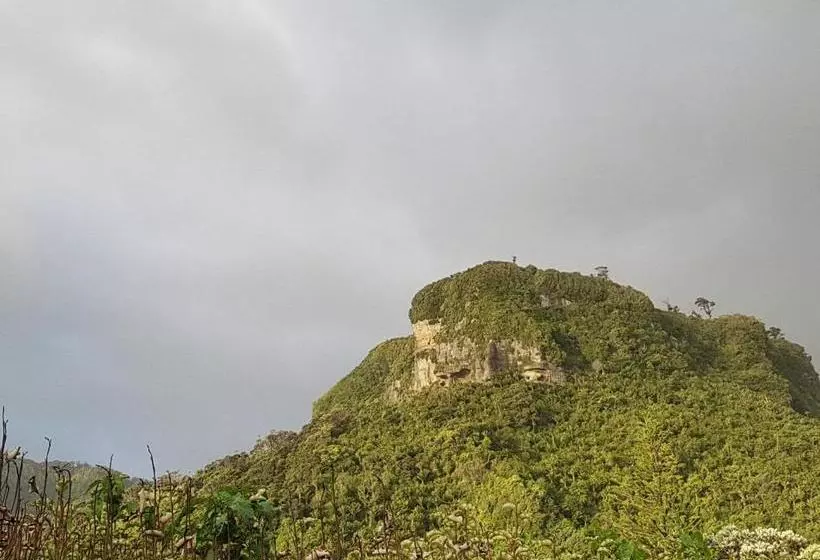 Punakaiki Rocks Hotel & Garden Bar