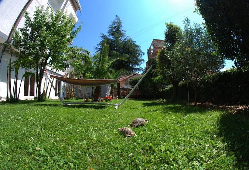 فندق Villa Green Garden