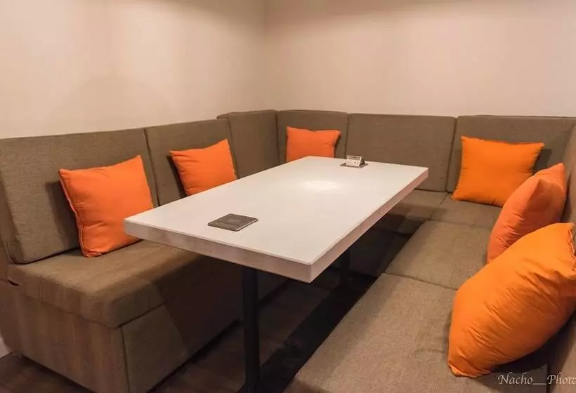 Kame House Backpackers   Hostel   Adults Only