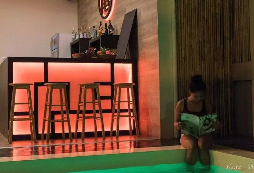 Kame House Backpackers   Hostel   Adults Only