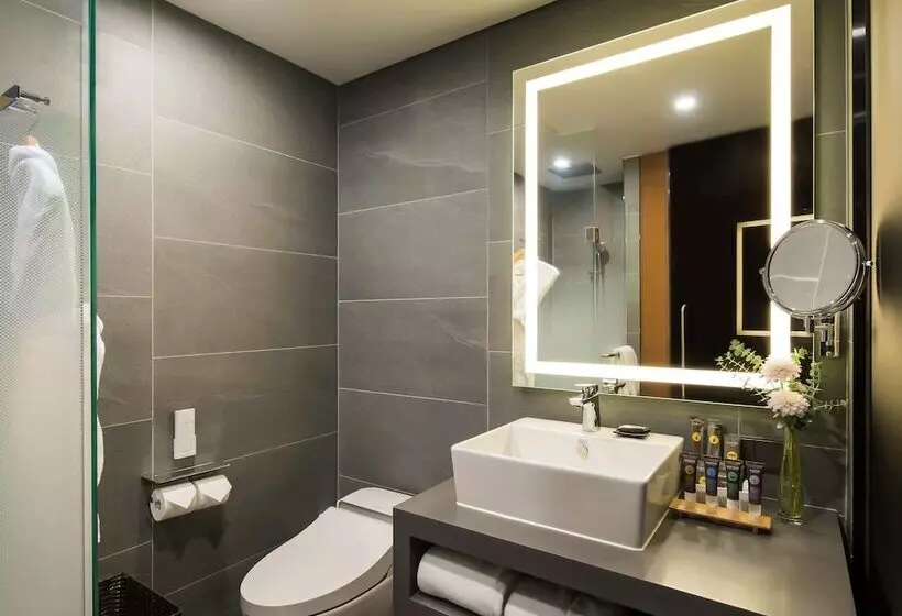 Novotel Ambassador Seoul Dongdaemun Hotels & Residences