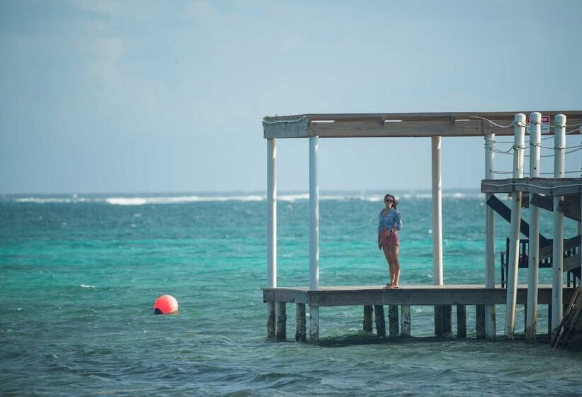 Playa De Sala Boutique Hotel, Adults Only