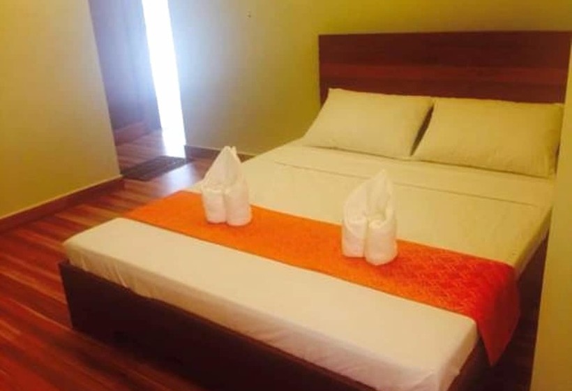 Cămin Dayunan Pili Tree Tourist Inn