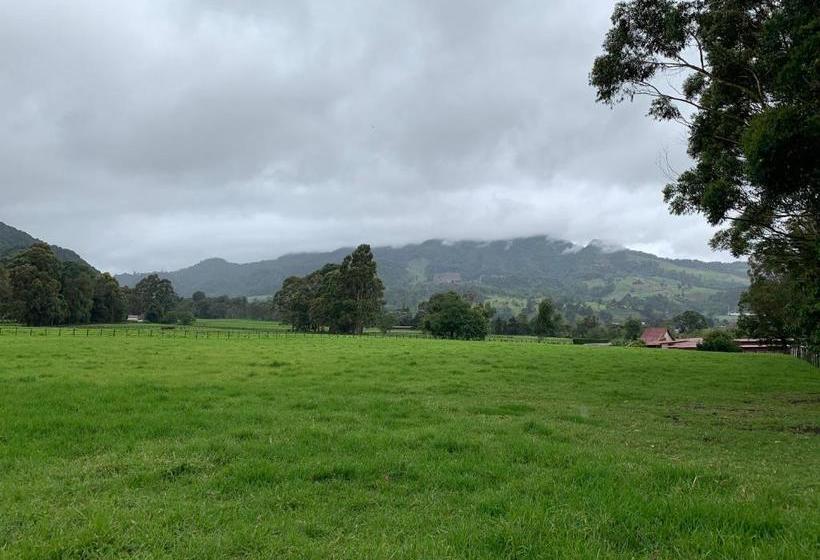 Eucaliptos Bed And Breakfast