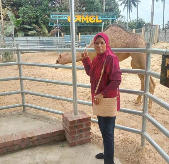 Anggerik Impian Hotel Best For Travellers At Kuala Berang