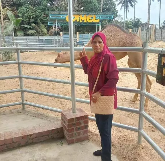 Anggerik Impian Hotel  Best For Travellers At Kuala Berang