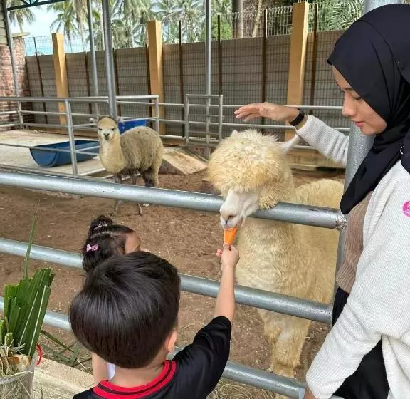 Anggerik Impian Hotel  Best For Travellers At Kuala Berang