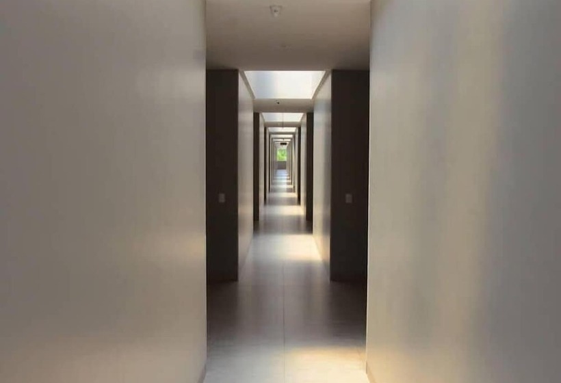 ホテル Portal Do Jalapão