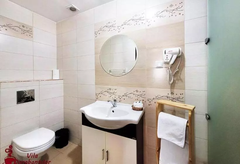 Hotel Vila Dorobantilor
