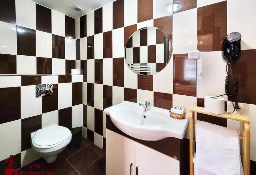 Hotel Vila Dorobantilor