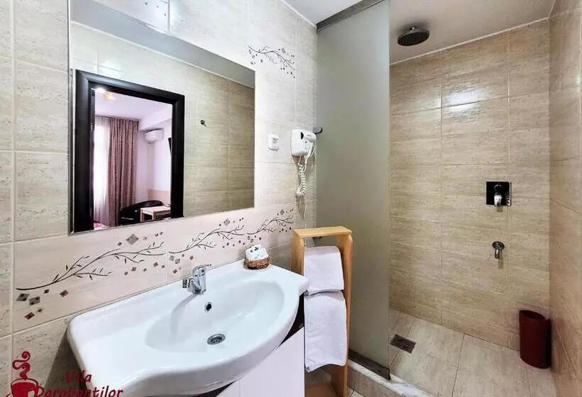 Hotel Vila Dorobantilor