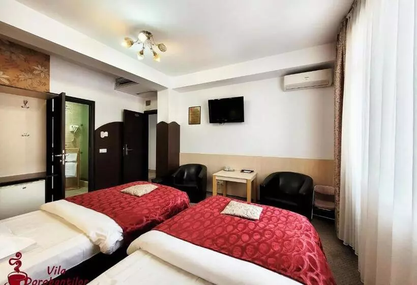 Hotel Vila Dorobantilor