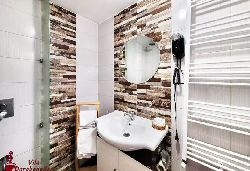 Hotel Vila Dorobantilor