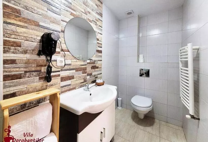 Hotel Vila Dorobantilor