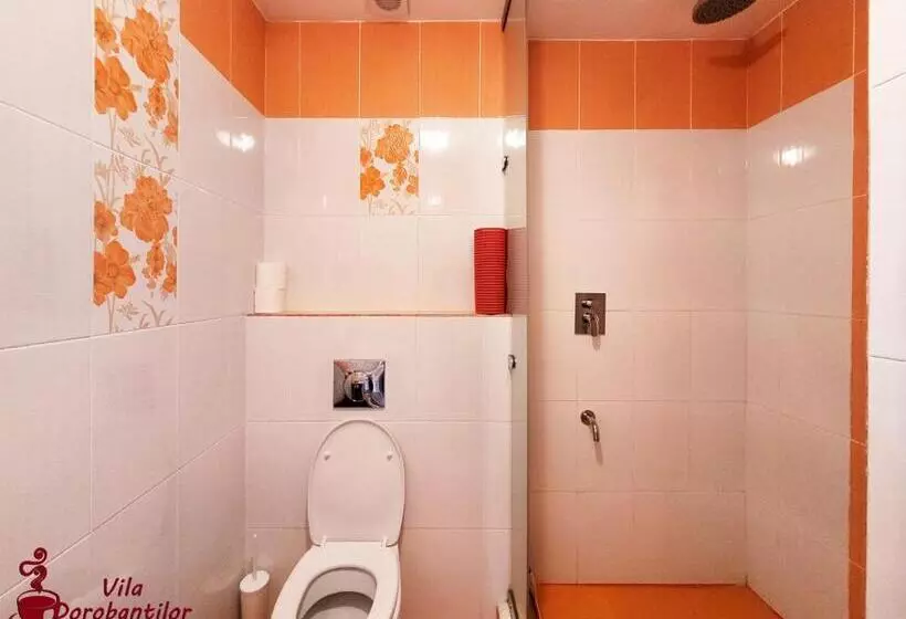 Hotel Vila Dorobantilor