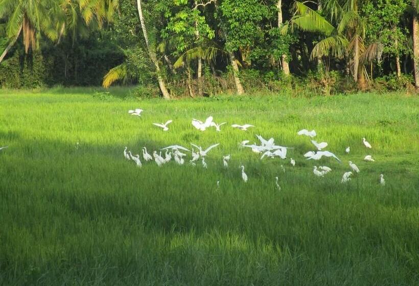 אתר נופש Green Herbal Ayurvedic Ecolodge