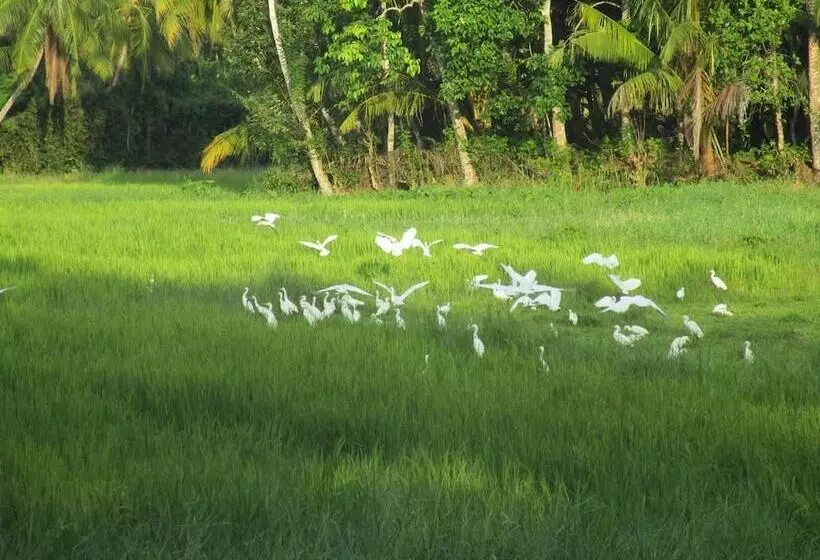 Lomakeskus Green Herbal Ayurvedic Ecolodge