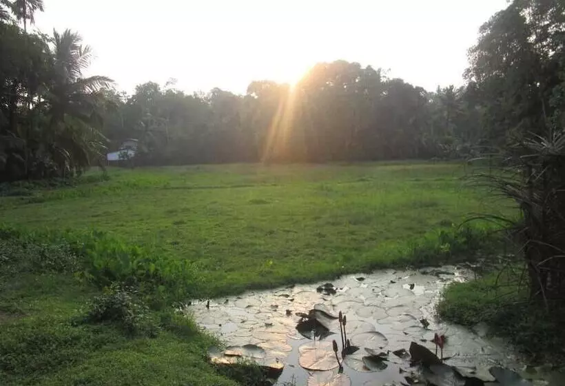 Lomakeskus Green Herbal Ayurvedic Ecolodge