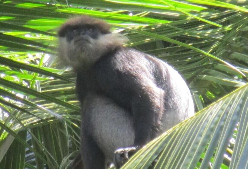 אתר נופש Green Herbal Ayurvedic Ecolodge