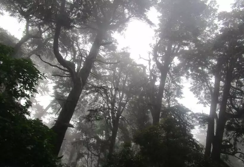 Lomakeskus Green Herbal Ayurvedic Ecolodge