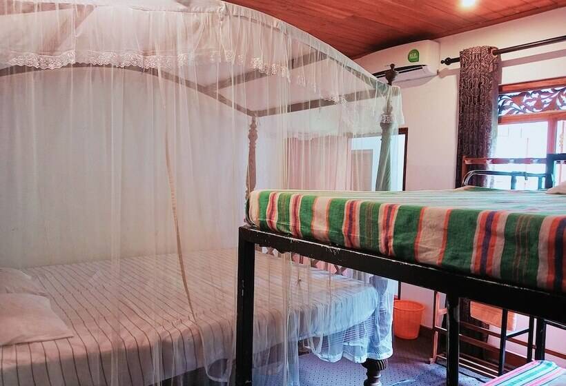 אתר נופש Green Herbal Ayurvedic Ecolodge