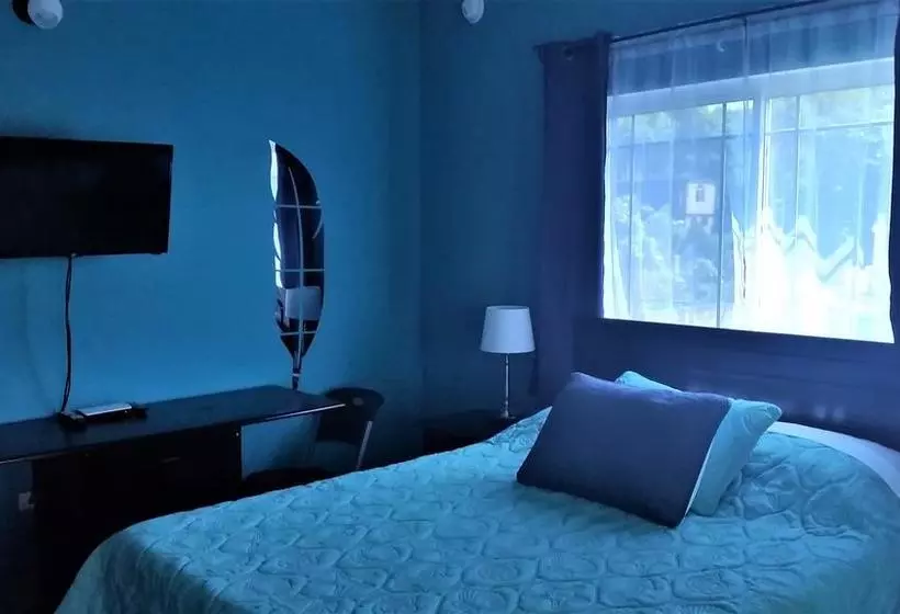 Bailey's Bed And Breakfast