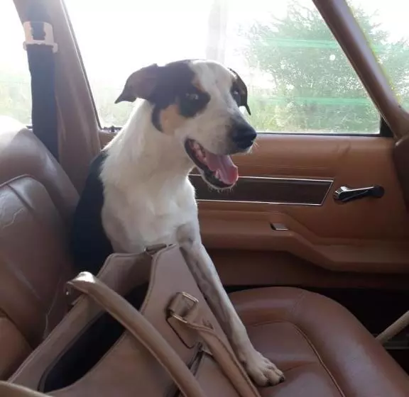 Hotelli Augrabies De Oude Stoor Guesthouse