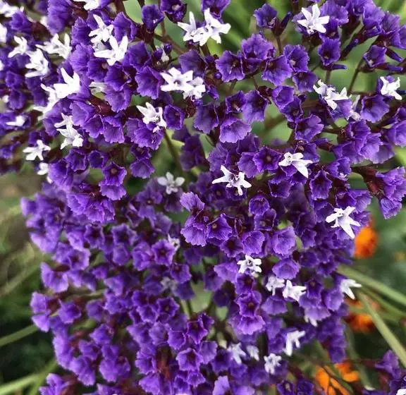 Hotelli Sunrise Boutique