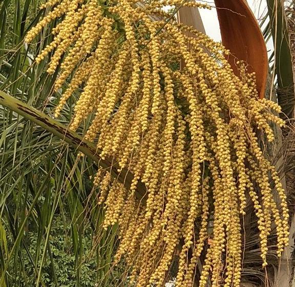 בית מלון כפרי Sunrise Boutique