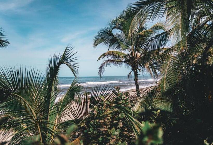 Общежитие Los Hermanos Beach Hostal